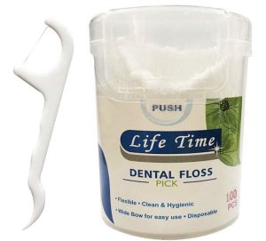 Dental Floss Picks - 100 picks