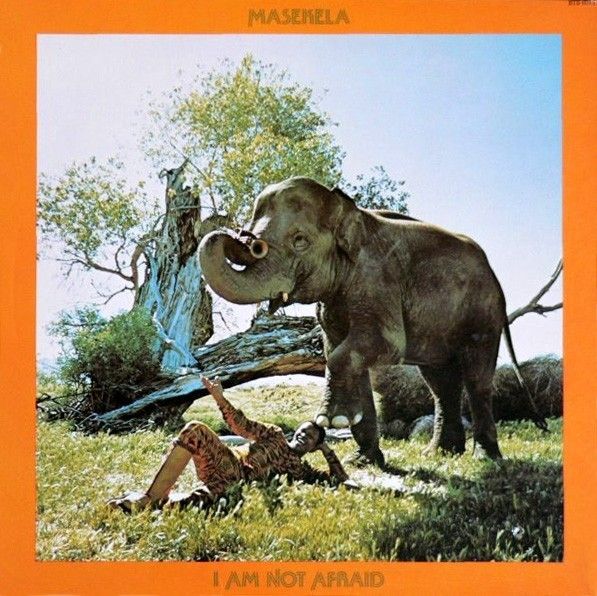 I'm Not Afraid (CD)