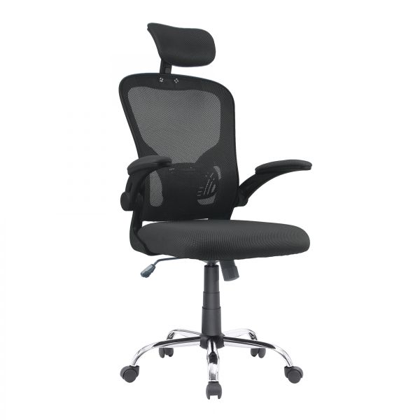 Everfurn Stagio Ergo High Back Office Chair with Adjustable Arms