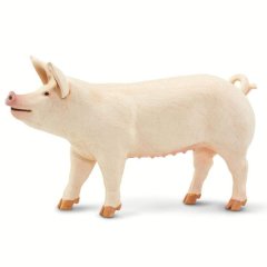 Safari Ltd - White Pig
