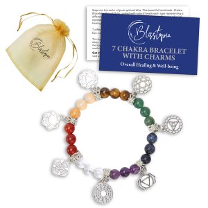 7 Chakra Bracelet with Charms in Gift Bag &amp; Info Card