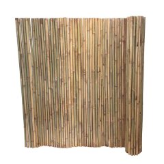 Bamboo Fencing Tonkin Cane - Natural