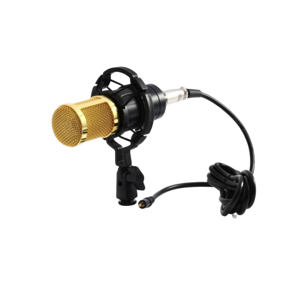 BM800 Microphone with Shock Mount 7451.