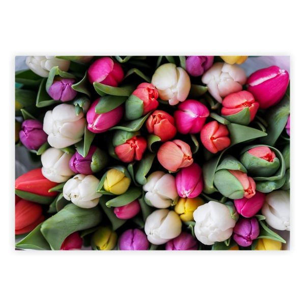 Tulip Bouquet - A1 Poster