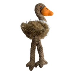Large Bird Dog Toy