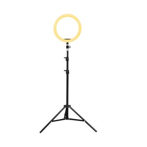 10 Inch Ring Light With Tripod Stand