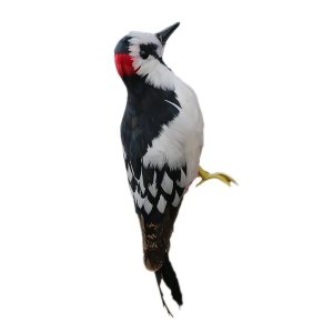 Realistic Artificial Feather Animal Woodpecker