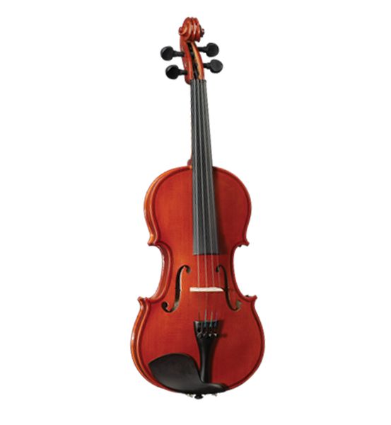 Cervini Violin 1/2