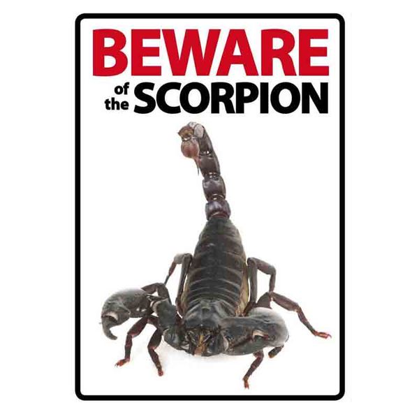 Beware of the Scorpion