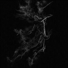 Illusory (Vinyl / 12" Album)