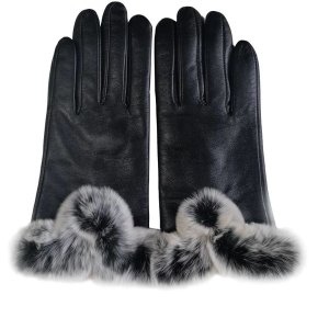 Ladies Warm Fashion Gloves
