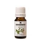 Burgess &amp; Finch Aromatherapy Oil Peppermint10ml