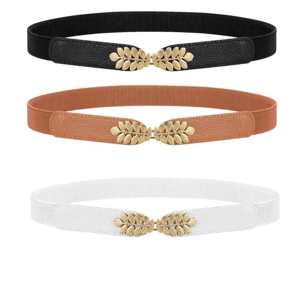 3 Pack Ladies Vintage Wide Elastic Waistband,Stretch Dress Accessory Belts
