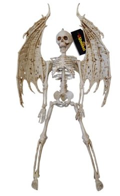 Skeleton Halloween Angel Decor 50cm - Umlozi