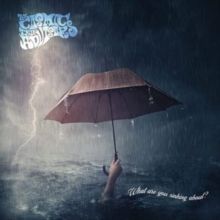 What Are You Sinking About? (CD / Album)