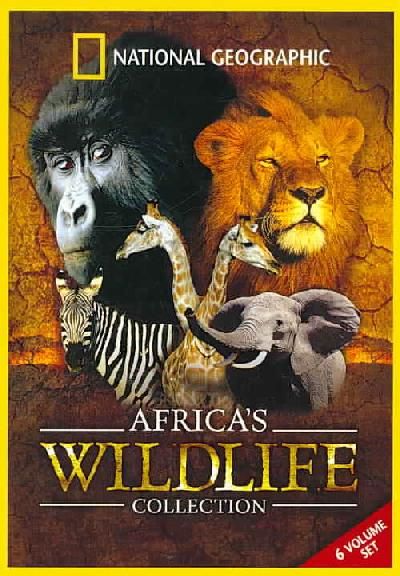 Africa's Wildlife Collection Giftset - (Region 1 Import DVD)