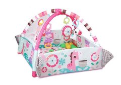 5 in 1 Activity Gym &amp; Ball Pit - Pink