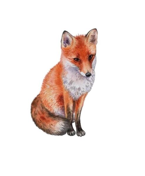 Launch Republic Wall Art Vinyl Sticker Fox