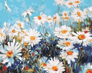 Paint By Numbers Framed Canvas DIY 40cmx50cm - White Flower