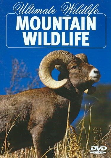 Mountain Wildlife - (Region 1 Import DVD)