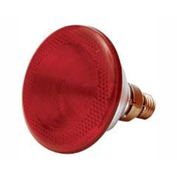 Poltek - Poultry Infra Red Lamp 175W 1/100