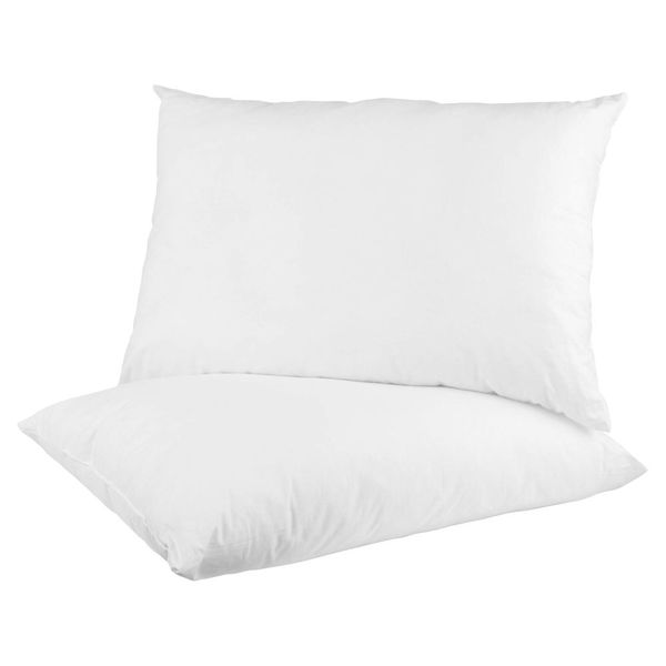 Pappa Joe - Throw Pillow Inner (40x30) - 2 Pack