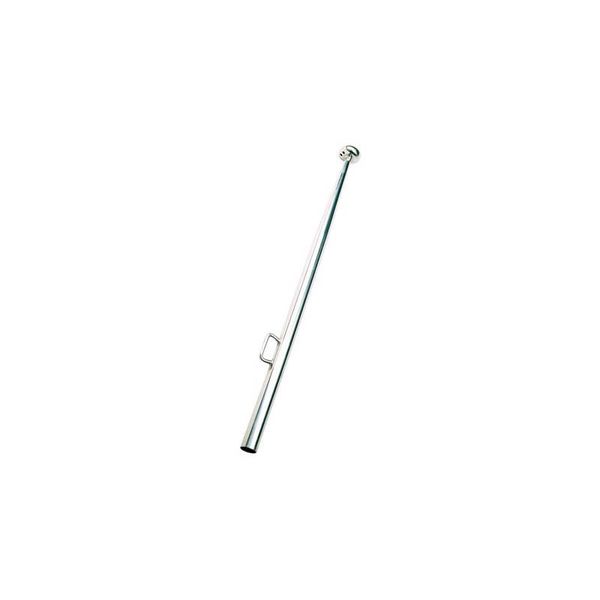 Flag Pole