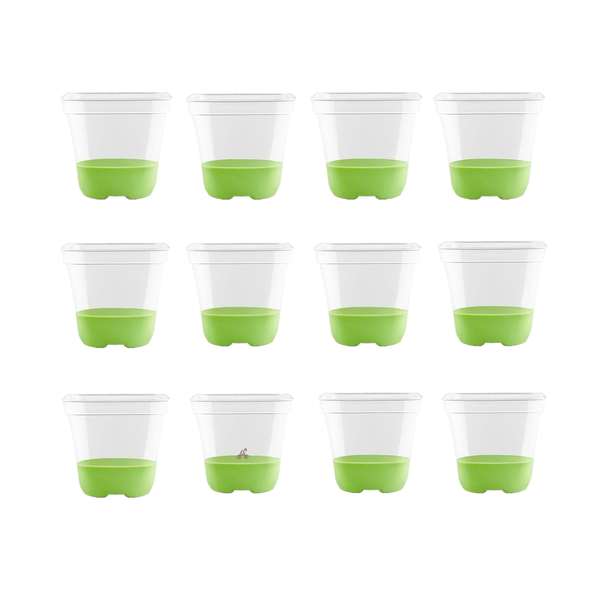 Alanes 12-Pack Transparent Square Plant Pots with Drainage