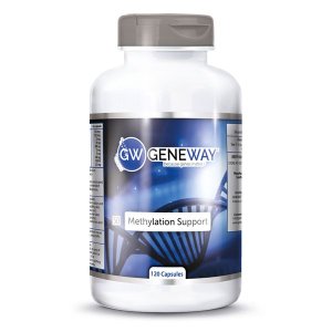 Geneway Methylation Support
