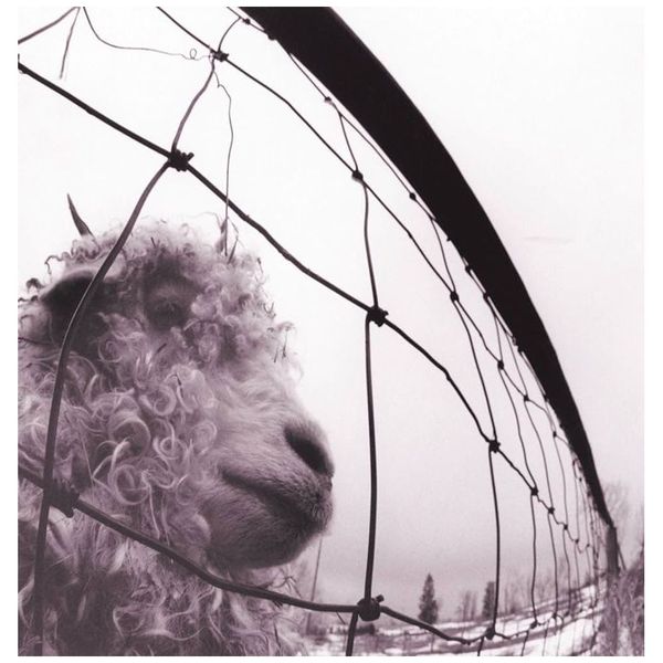Pearl Jam - Vs. [Limited Edition Clear Vinyl LP, Reissue, Remastered]