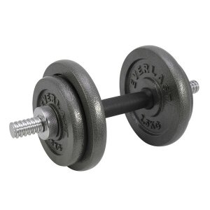 Everlast Dumbbell Set
