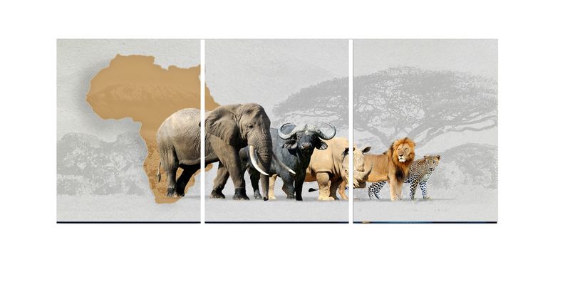 Brown, Grey Majesty of Wildlife Home Cotton Canvas cm Animals Wall Art