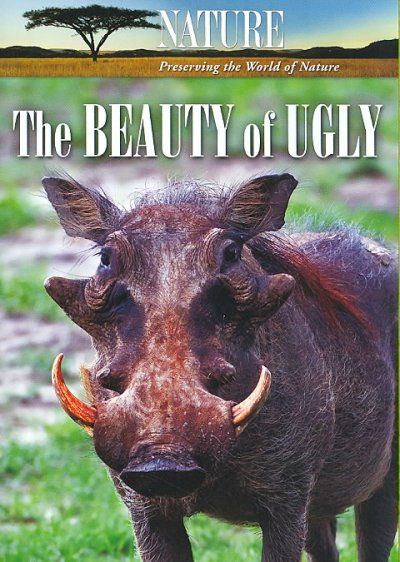 Nature:Beauty of Ugly - (Region 1 Import DVD)