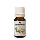 Burgess &amp; Finch Jasmine Oil 10ml