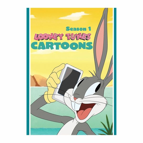 Looney Tunes Cartoons 001 - A1 Poster