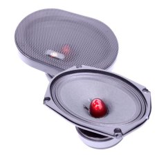 Ice Power IPS-69M 1000w Pro Series 6×9" Speakers