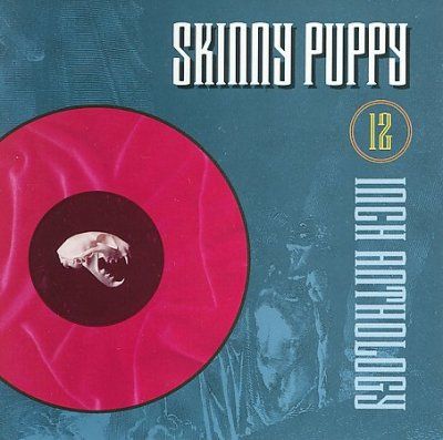 Skinny Puppy - 12 Inch Anthology (CD)