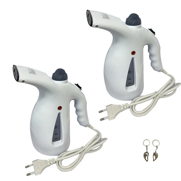 2 Pieces Steam Iron