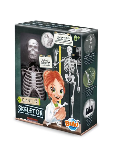 Skeleton 45cm