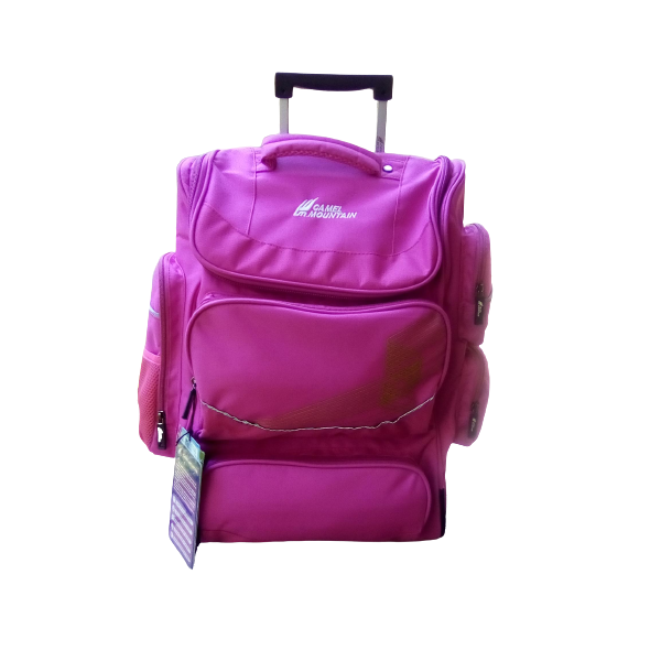 Back to School Camel Mountain School Bag (big) -Pink