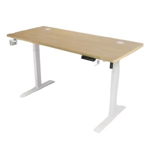 Electronic Height Adjustable Standing Office Desk (120x60x72-117cm)