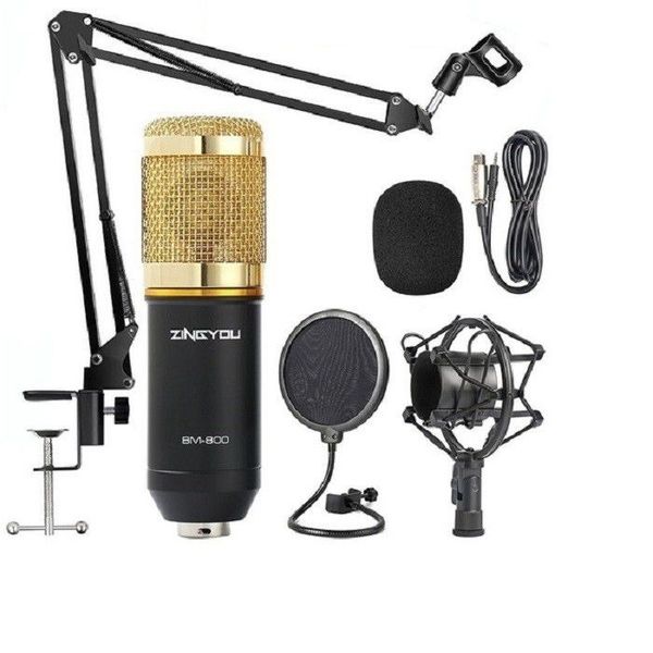 PP BM 800 Condenser Microphone Professional Mic Kit Gold