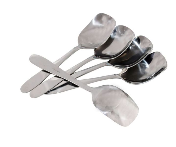 Acesa 5 Piece Stainless Steel Serving Spoons