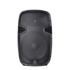 Design Acoustics Cabinet Speaker 12" 180W RMS Plastic Moulded