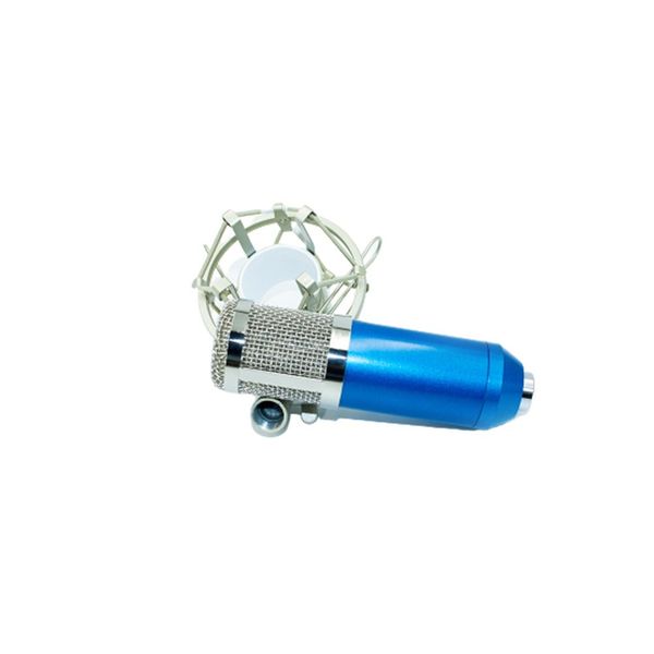 Blue BM800 Condenser microphone