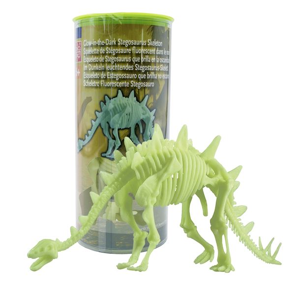 Edu-Science Glow-in-the-Dark Stegosaurus Skeleton: 26cm x 11.5cm