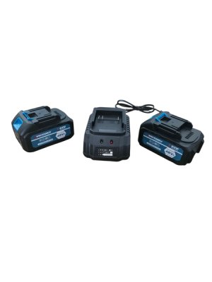 2 x 48V Power Tool Batteries and 1 x 48V Charger, Victory
