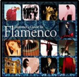 Beginner's Guide To - Beginner's Guide To Flamenco - Vol.2 (CD)