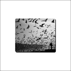 Mouse Pad - Birdsdagedon