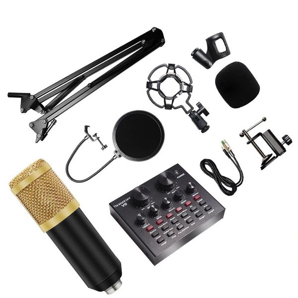Professional Recording Condensor Microphone